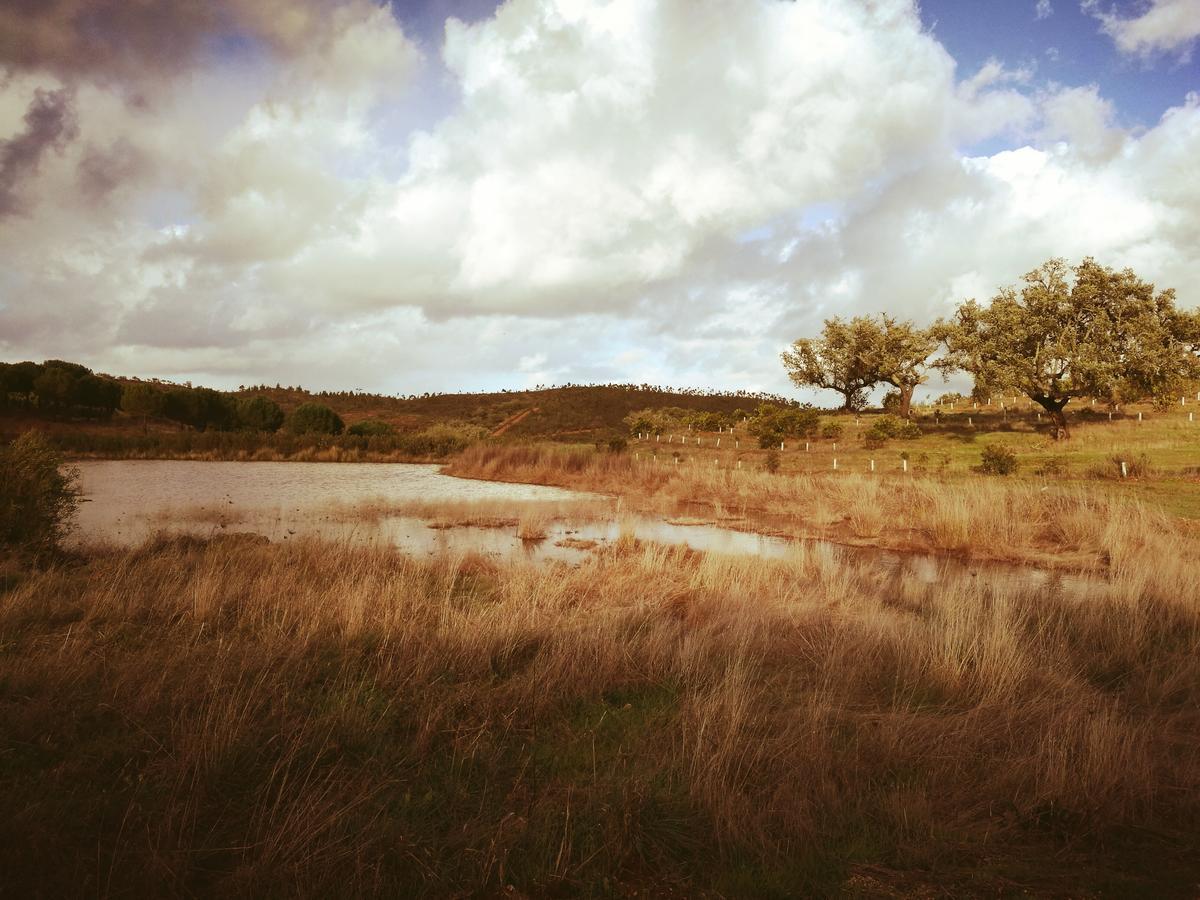 Herdade Do Rio Torto Portel Exterior foto